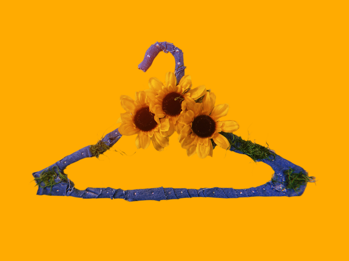 Hang in There Hanger 🌻